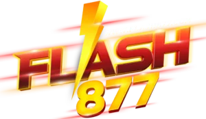 FLASH877